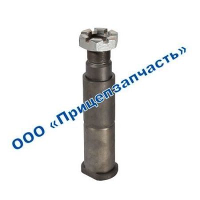 Палец 9693-2919250 в сборе Палец 9693-2919250 в сборе